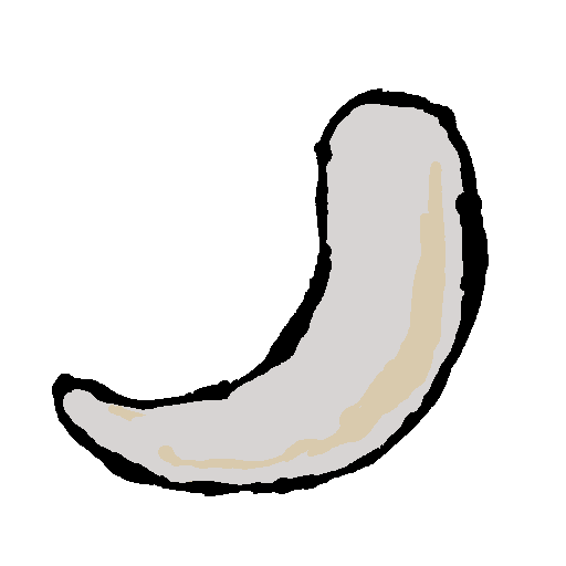a curved white tusk